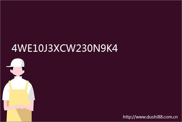 4WE10J3XCW230N9K4