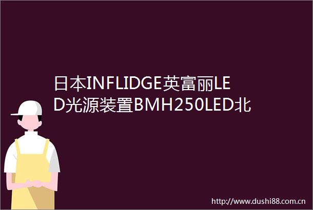 INFLIDGE英富丽LED光源装置BMH250LED北崎有售