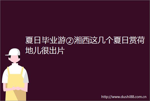 夏日毕业游②湘西这几个夏日赏荷地儿很出片