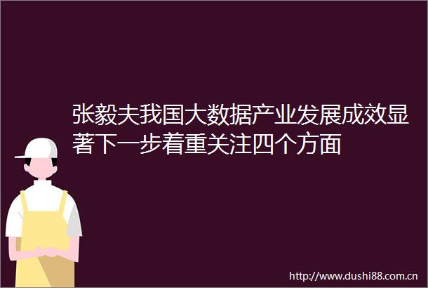 张毅夫我国大数据产业发展成效显著下一步着重关注四个方面