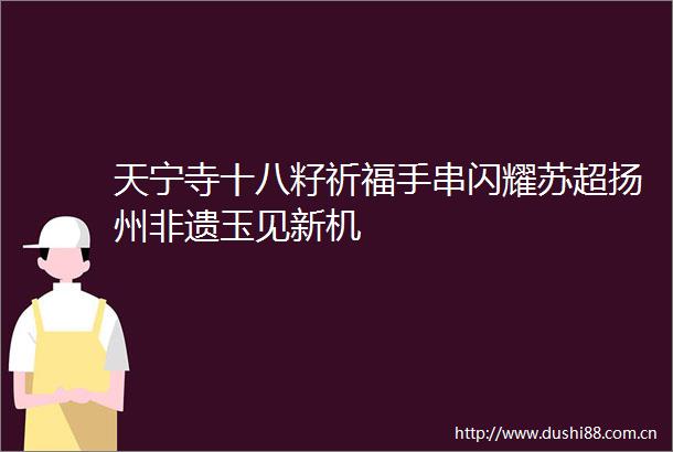 天宁寺十八籽祈福手串闪耀苏超扬州非遗玉见新机