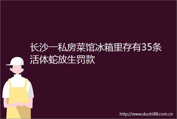 长沙一私房菜馆冰箱里存有35条活体蛇放生罚款