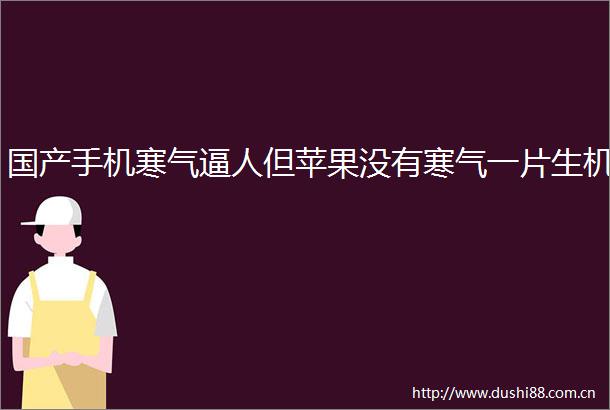 国产手机寒气逼人但苹果没有寒气一片生机