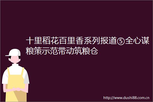 十里稻花百里香系列报道⑤全心谋粮策示范带动筑粮仓