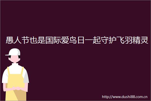 愚人节也是国际爱鸟日一起守护飞羽精灵