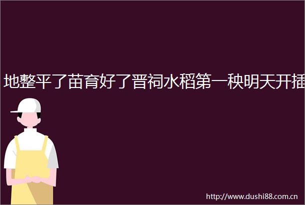 地整平了苗育好了晋祠水稻第一秧明天开插