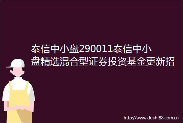 泰信中小盘290011泰信中小盘精选混合型证券投资基金更新招募说明书