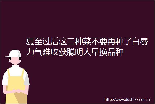 夏至过后这三种菜不要再种了白费力气难收获聪明人早换品种