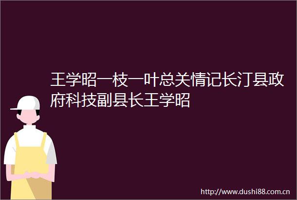 王学昭一枝一叶总关情记长汀县科技副县长王学昭