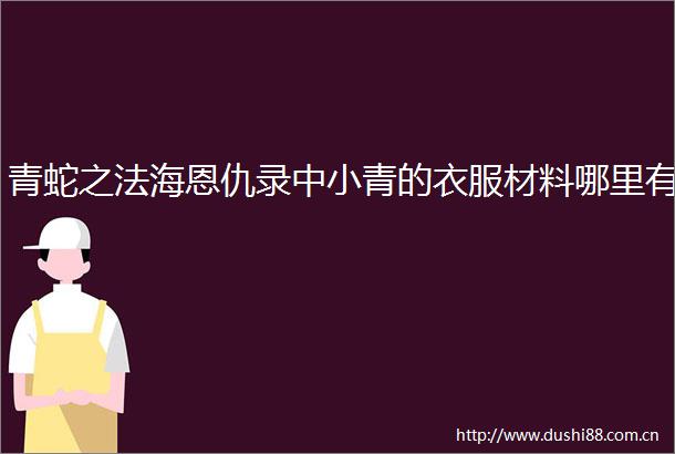 青蛇之法海恩仇录中小青的衣服材料哪里有