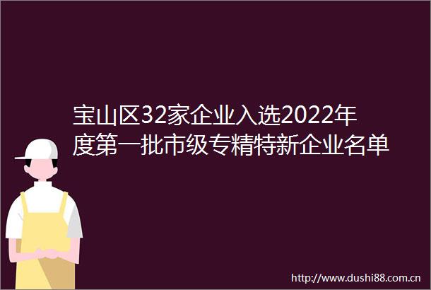 宝山区32家企业入选2022年度第一批市级专精特新企业名单