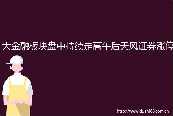 大金融板块盘中持续走高午后天风证券涨停