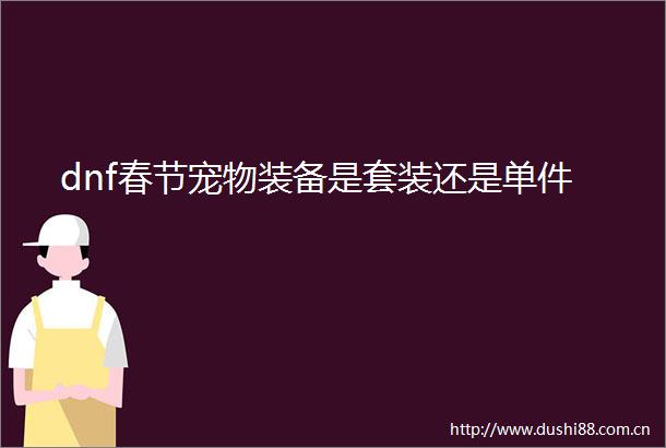 dnf春节宠物装备是套装还是单件