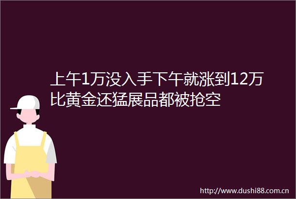 上午1万没入手下午就涨到12万比黄金还猛展品都被抢空