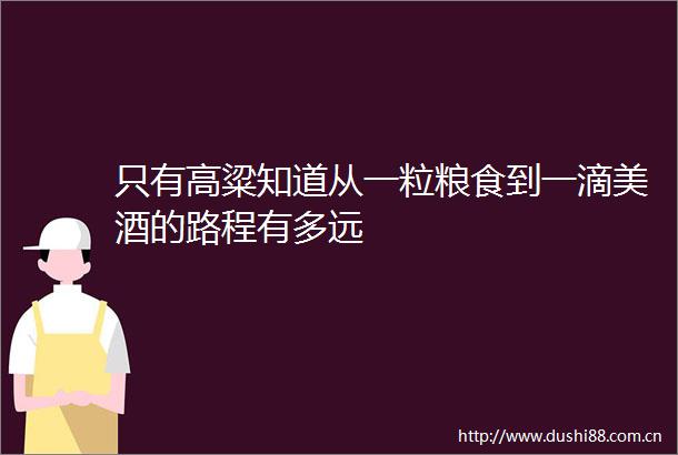 只有高粱知道从一粒粮食到一滴美酒的路程有多远
