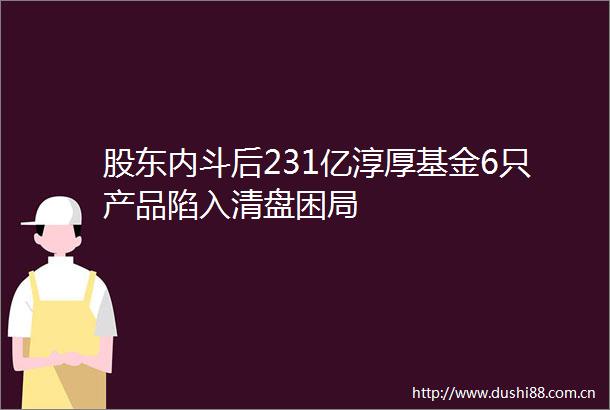 股东内斗后231亿淳厚基金6只产品陷入清盘困局