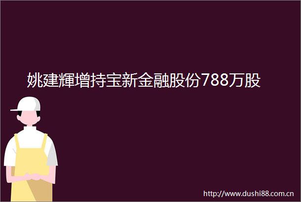 姚建輝增持宝新金融股份788万股