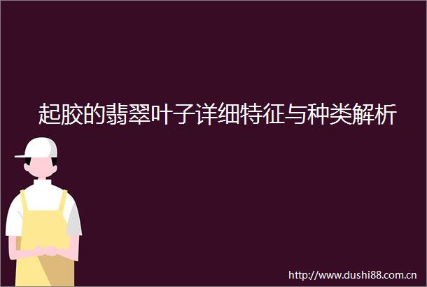 起胶的翡翠叶子详细特征与种类解析
