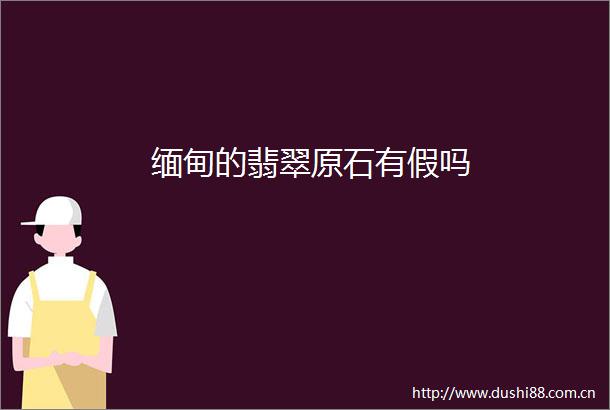 缅甸的翡翠原石有假吗
