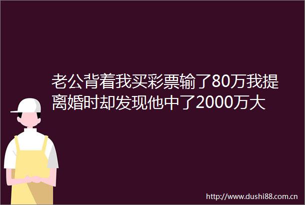 老公背着我买彩票输了80万我提离婚时却发现他中了2000万大奖