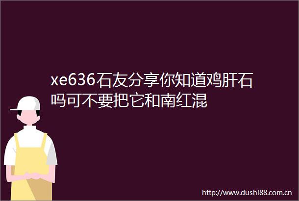 xe636石友分享你知道鸡肝石吗可不要把它和南红混