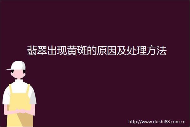 翡翠出现黄斑的原因及处理方法