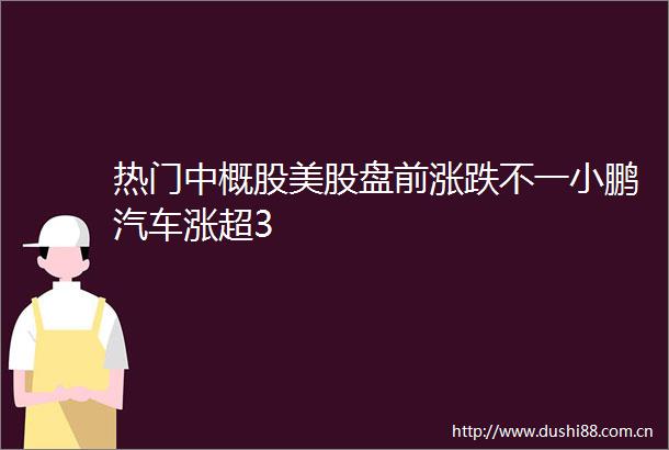 热门中概股美股盘前涨跌不一小鹏汽车涨超3