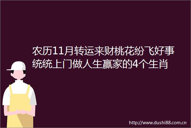 农历11月转运来财桃花纷飞好事统统上门做人生赢家的4个生肖