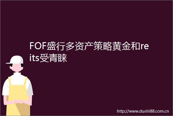 FOF盛行多资产策略黄金和reits受青睐
