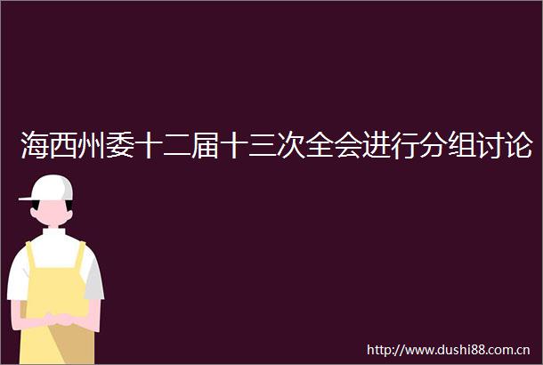 海西州委十二届十三次全会进行分组讨论