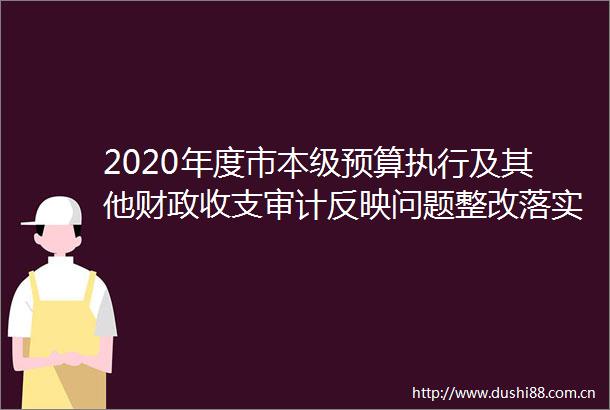 2020年度市本级预算执行及其他财政收支审计反映问题整改落实情况的公告