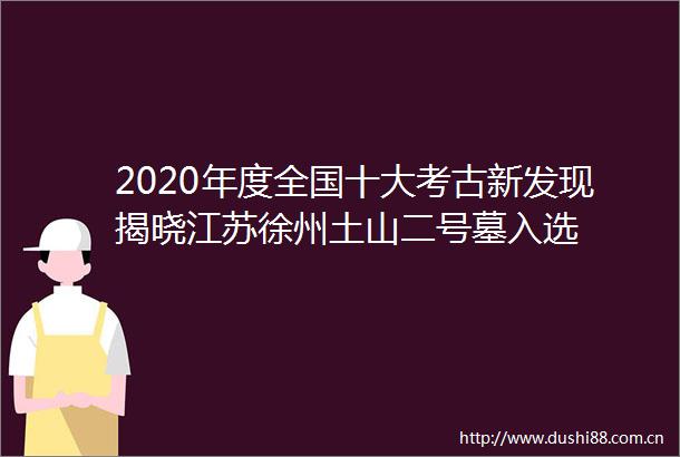 2020年度全国十大考古新发现揭晓江苏徐州土山二号墓入选