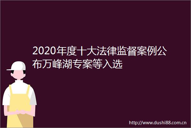 2020年度十大监督案例公布万峰湖专案等入选
