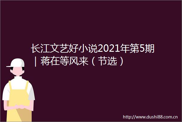 长江文艺好小说2021年第5期｜蒋在等风来（节选）