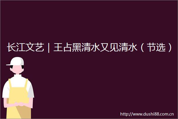 长江文艺｜王占黑清水又见清水（节选）