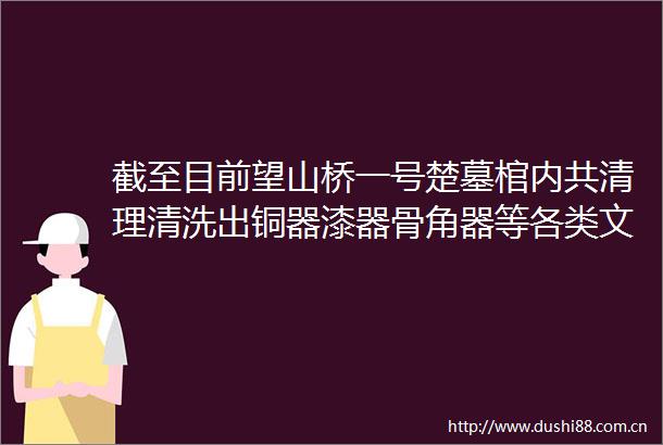 截至目前望山桥一号楚墓棺内共清理清洗出铜器漆器骨角器等各类文物近100件套其中玉器近40件套铜剑4把