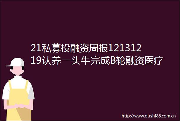 21私募投融资周报12131219认养一头牛完成B轮融资医疗赛道融资火热