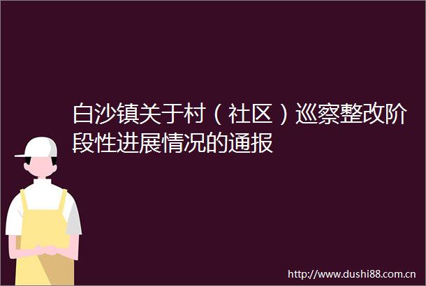 白沙镇关于村（社区）巡察整改阶段性进展情况的通报