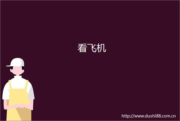 看飞机
