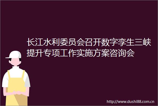 长江水利委员会召开数字孪生三峡提升专项工作实施方案咨询会