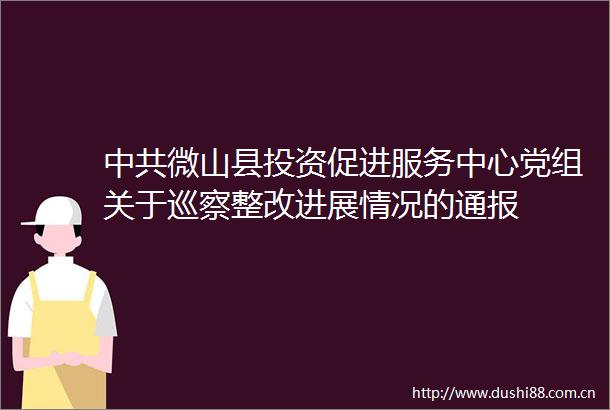 微山县投资促进服务中心党组关于巡察整改进展情况的通报