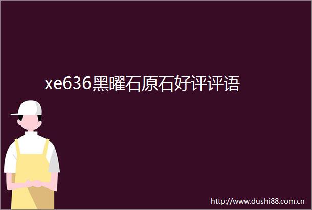 xe636黑曜石原石好评评语