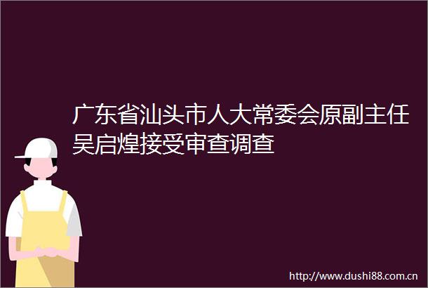 广东省汕头市人大常委会原副主任吴启煌接受审查调查