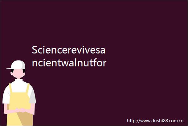 SciencerevivesancientwalnutforestsboostsincomesinSWChinasXizang