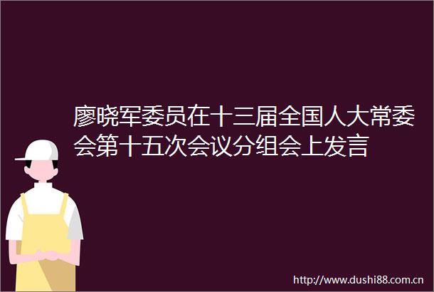 廖晓员在十三届全国人大常委会第十五次会议分组会上发言