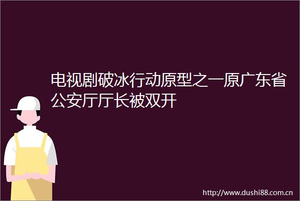 电视剧破冰行动原型之一原广东省厅厅长被双开
