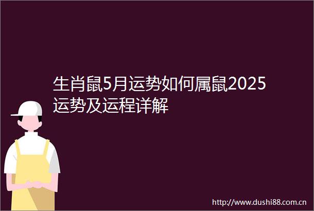 生肖鼠5月运势如何属鼠2025运势及运程详解