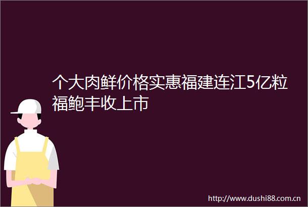 个大肉鲜价格实惠福建连江5亿粒福鲍丰收上市