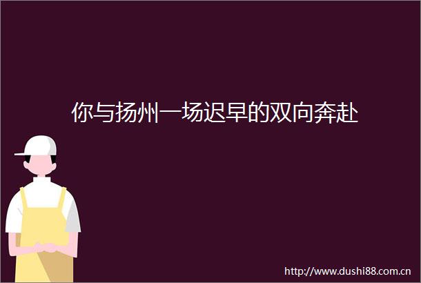 你与扬州一场迟早的双向奔赴
