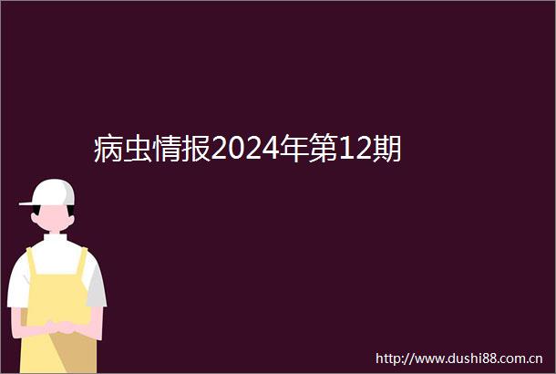 病虫情报2024年第12期